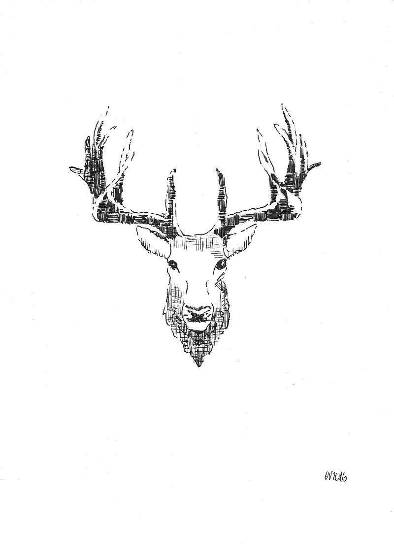 Nebenbeibild Hirschkopf