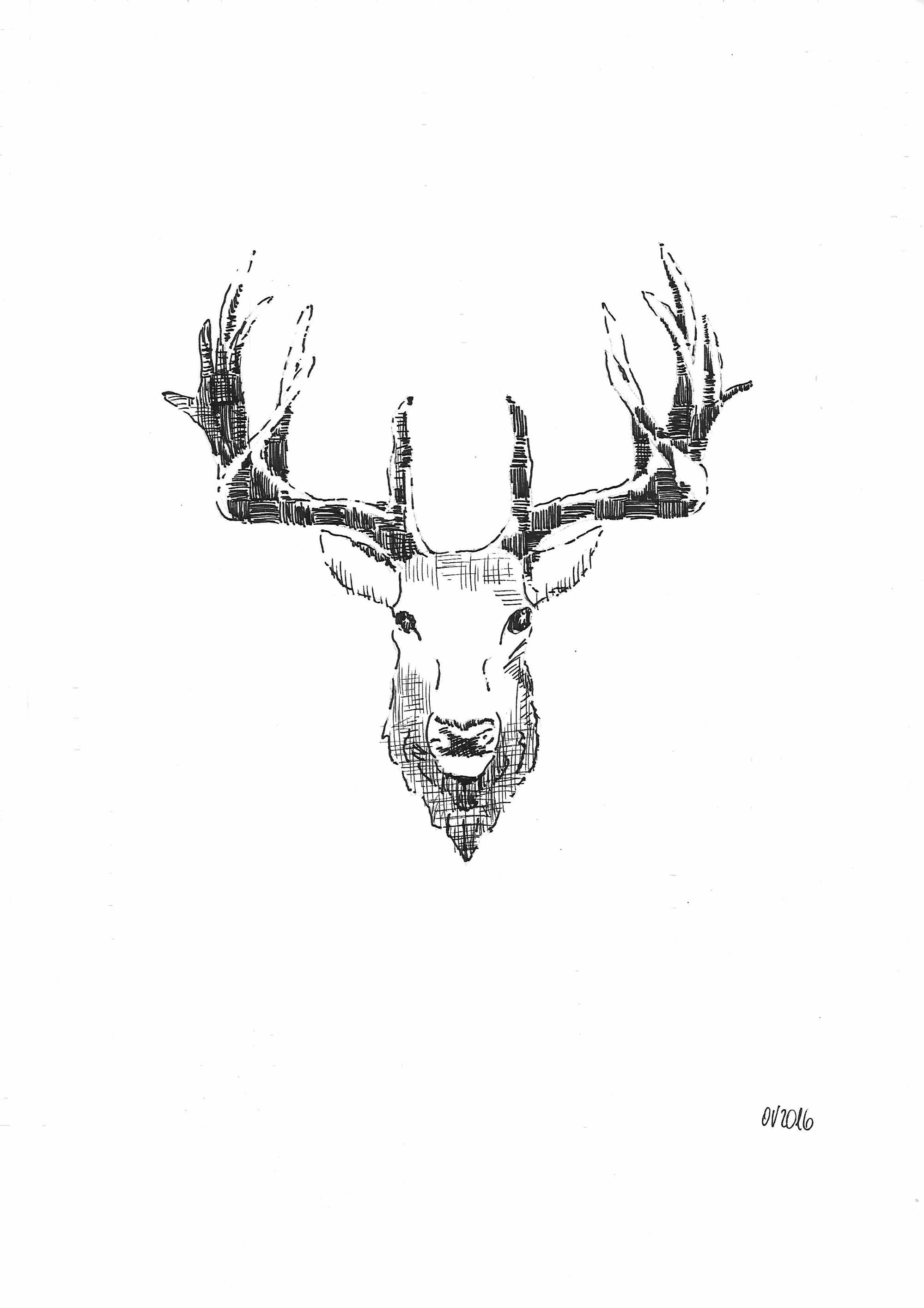 Nebenbeibild Hirschkopf