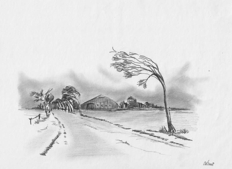 Olaf Varlemann - Ostfriesland Bleistiftzeichnung