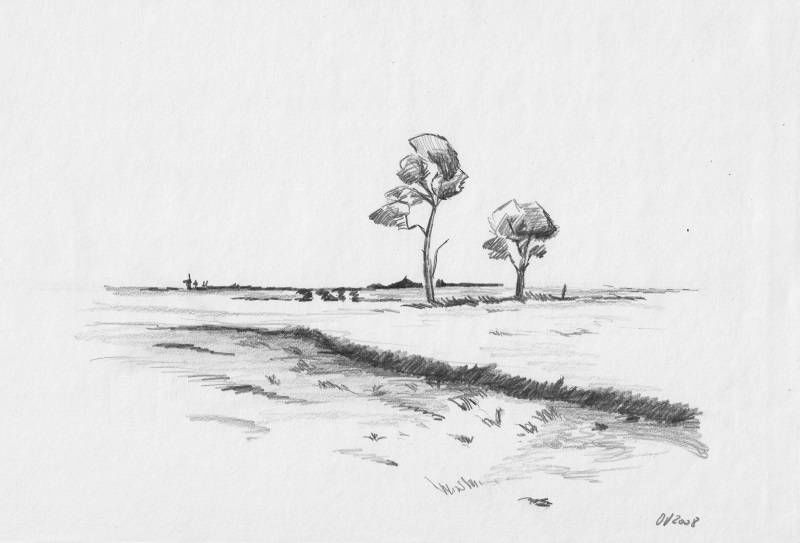 Olaf Varlemann - Ostfriesland Bleistiftzeichnung